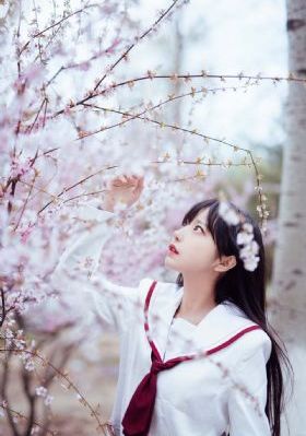 欧美黄免费看-片花日韩电影在线